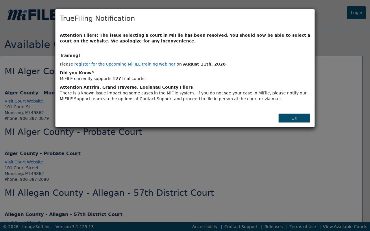 Bronson court records MiFILE Branch District Court source